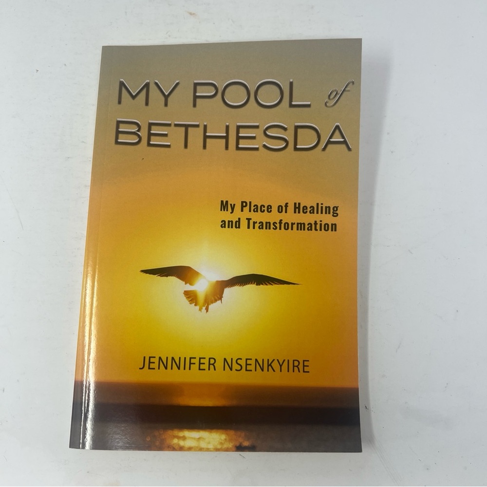 My Pool of Bethesda Book